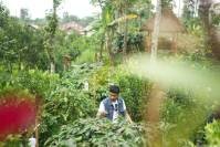 Viva Barista - Bali-69