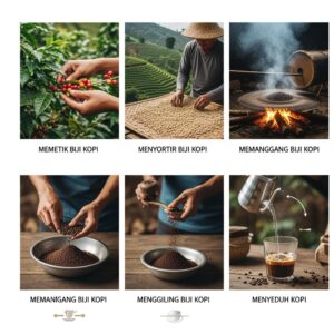 Proses Pembuatan Kopi