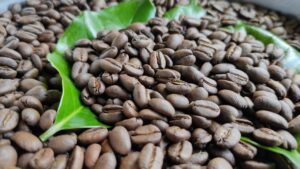 Jenis Kopi yang Terkenal dari Aceh adalah